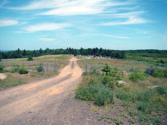 View #3 of Cemetery