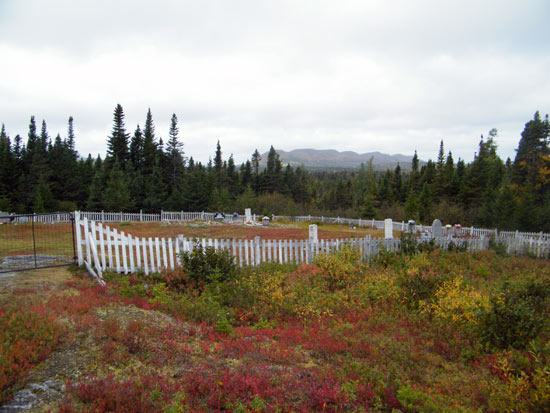 View inside of Cemetery