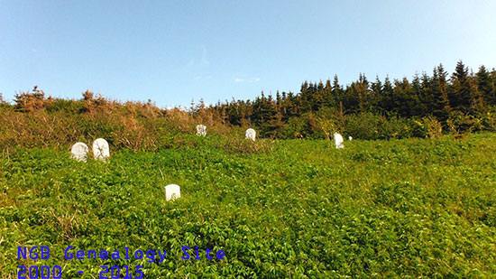 View of Cemetery