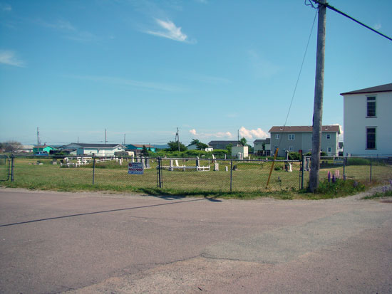 View #5 of the Cemetery