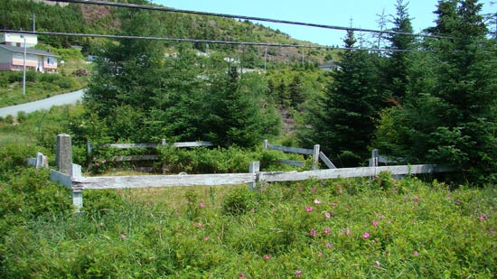 View of Cemetery