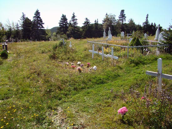 View of Cemetery #1