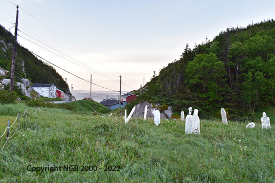 View of Cemetery