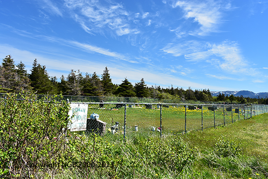 View of Cemetery