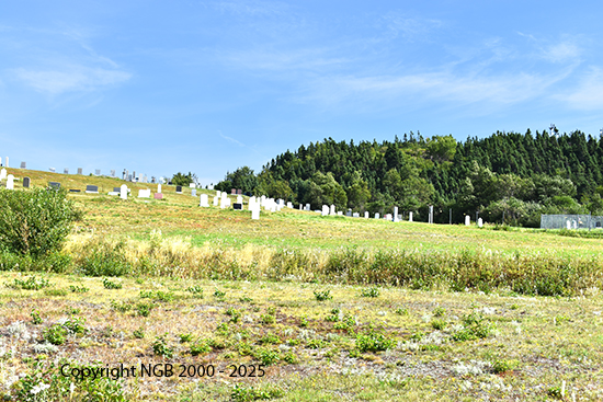 View of Cemetery 11