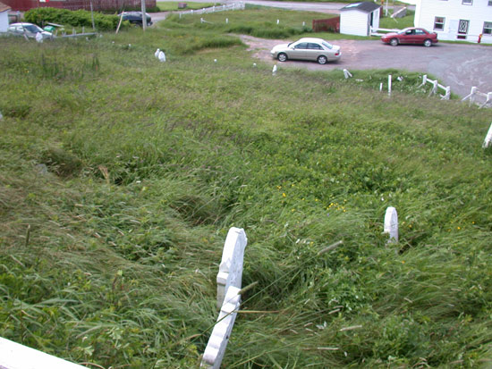 View of Cemetery #2