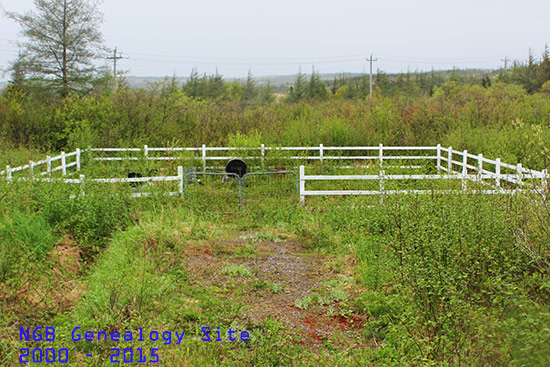 View of Cemetery