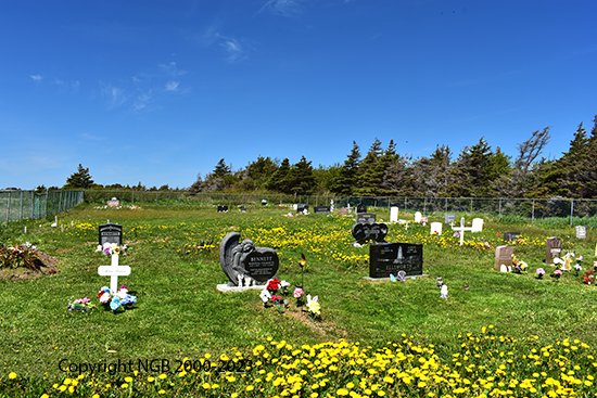 View of Cemetery