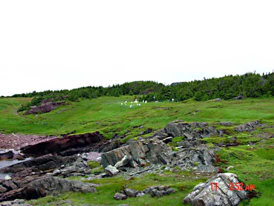 View of Cemetery