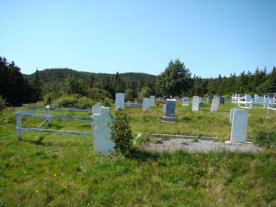 View of Cemetery #3