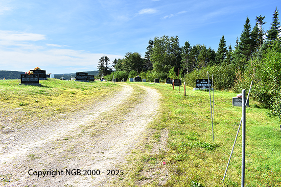 View of Cemetery 3