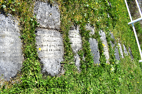 View of Markers