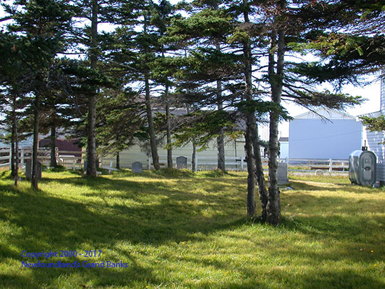 View of the cemetery