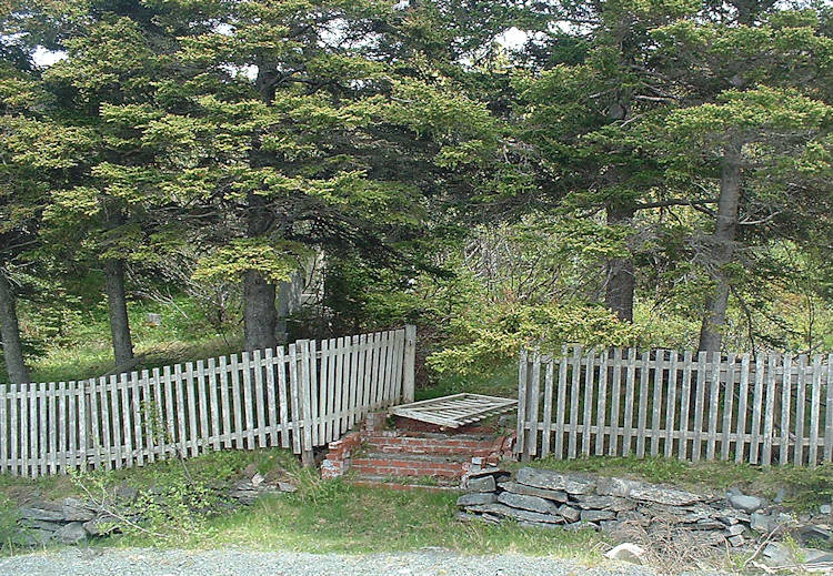 Old UC Cemetery - Bareneed