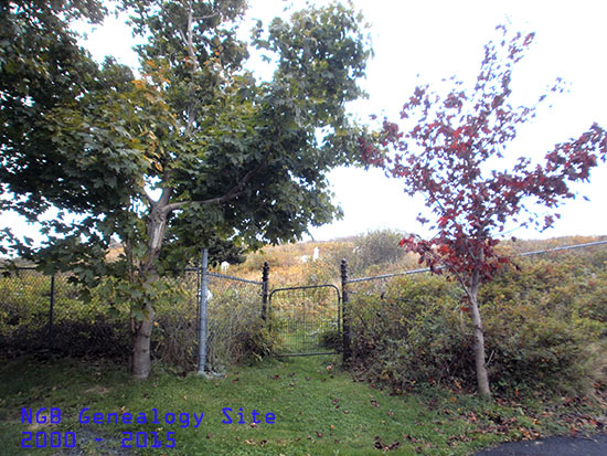 View of Cemetery