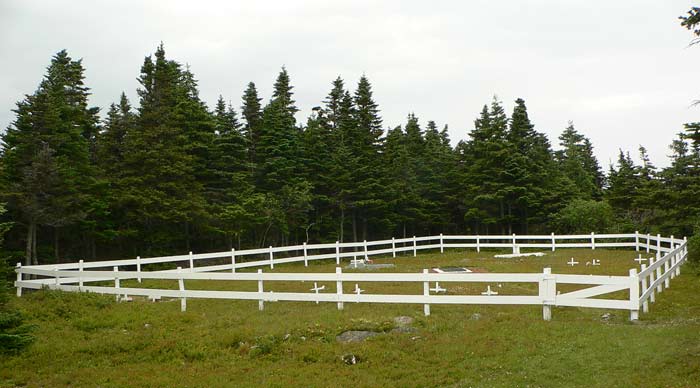 View of Cemetery