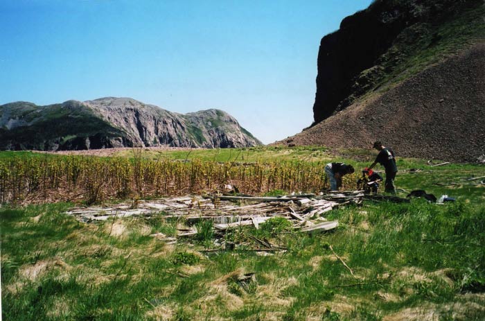 Cape La Hune Old Anglican Cemetery