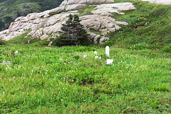 View of Cemetery