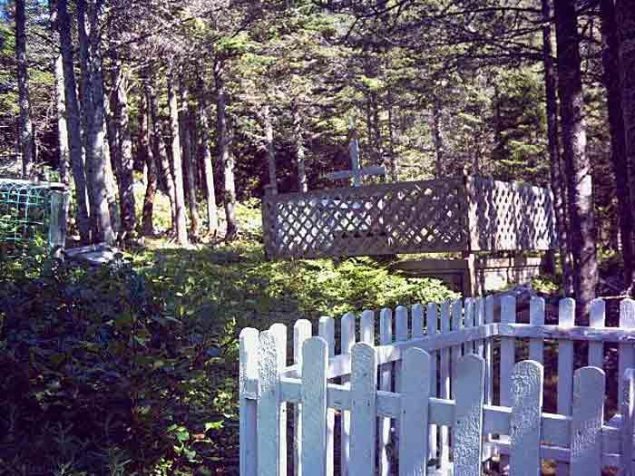 View of Cemetery