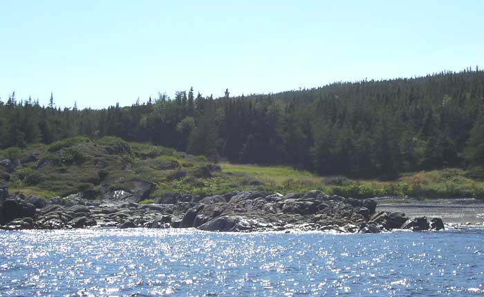 Hope's Cove Cemetery