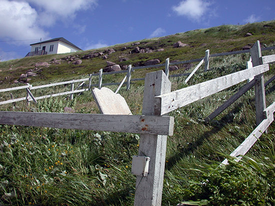 View of Cemetery