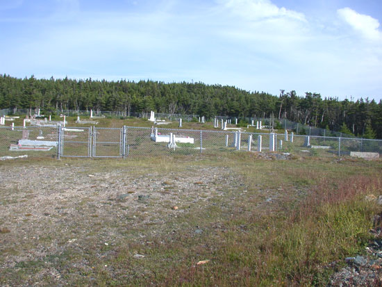 Overall View of Cemetery