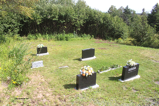 View of Cemetery