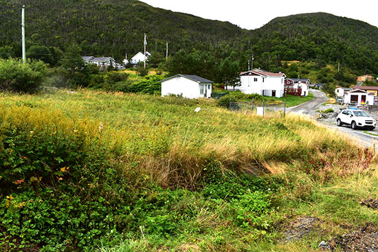 View of CEmetery