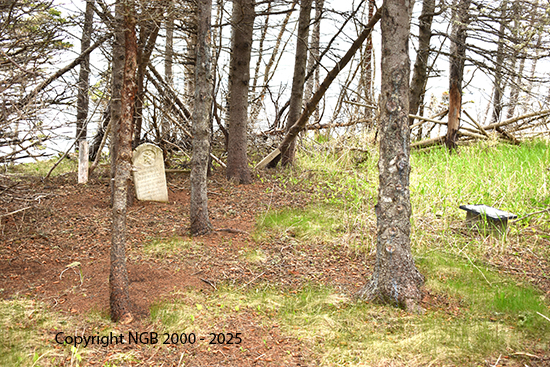 View of Cemetery