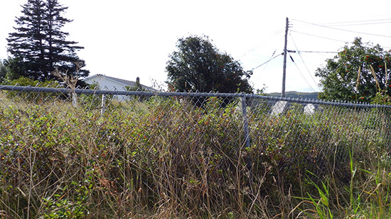 View of Cemetery