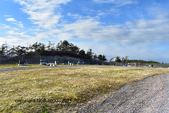 Cemetery