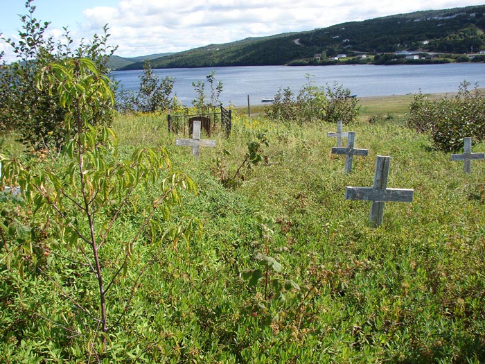 Mi'kmaq Cemetery View #2