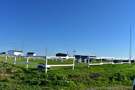 View of Cemetery 2009)