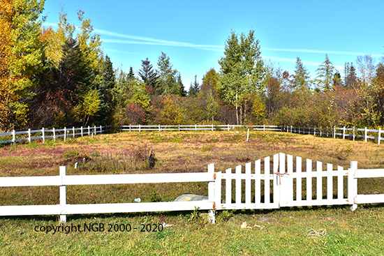 Cemetery