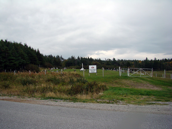 View of Cemetery From Road