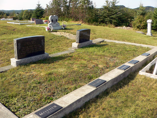 View Elms Family Area