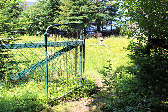 Entrance to Cemetery