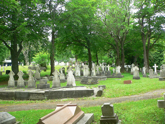 Forest Road Anglican Cemetery - Section DE-DF