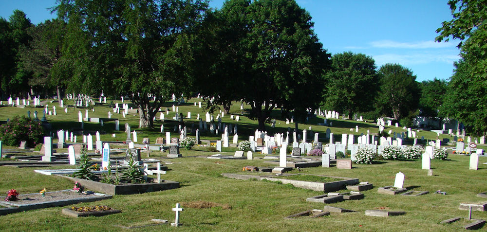 Forest Road Anglican Cemetery - Section DH