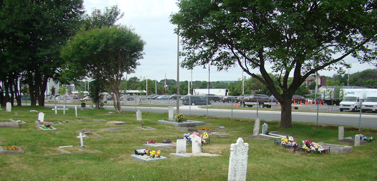 Forest Road Anglican Cemetery - Section DR