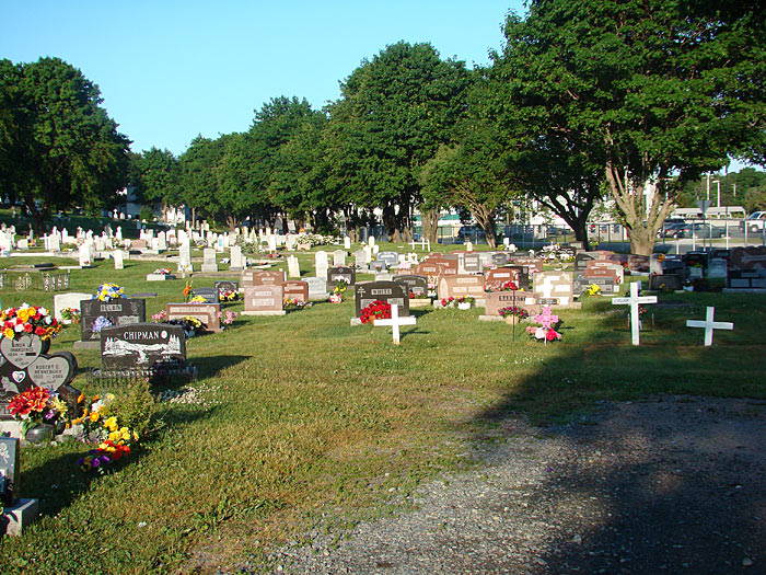 Forest Road Anglican Cemetery - Section DS