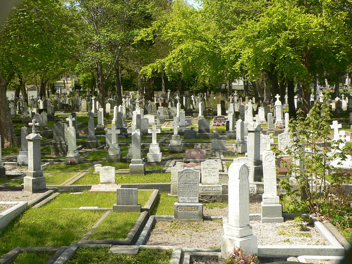 Forest Road Anglican Cemetery - Section F