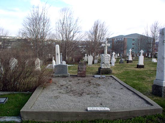 
	   View of Gibbon's Family Plot