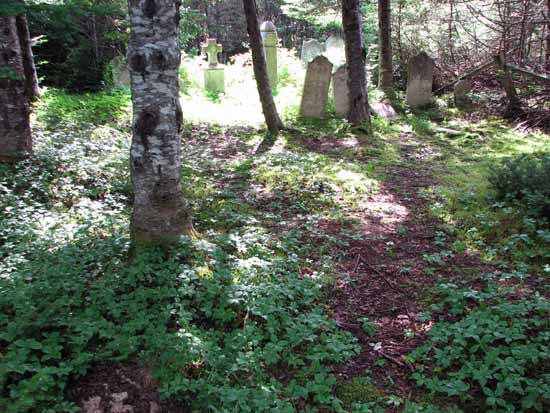 View of Cemetery