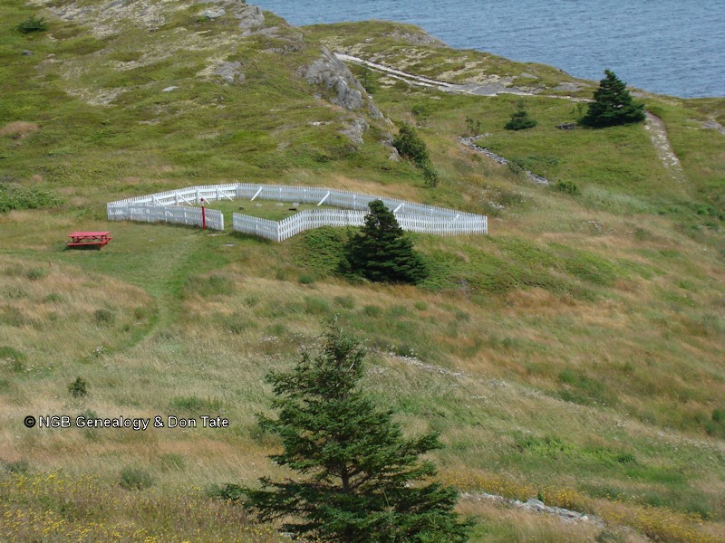 Forest Road Anglican Cemetery - Section DP