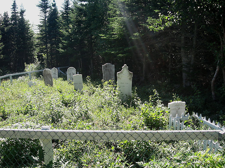 Old Methodost Cemetery - Leading Tickles