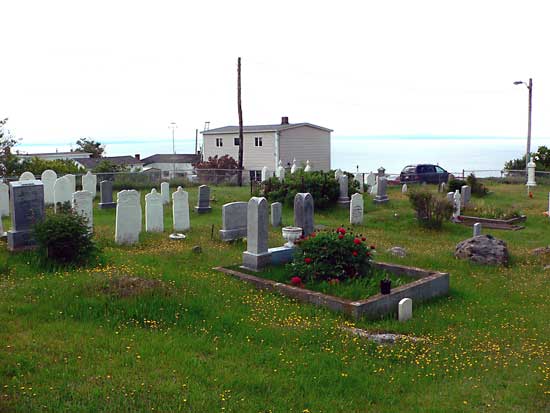 Overall View of Cemetery (1)