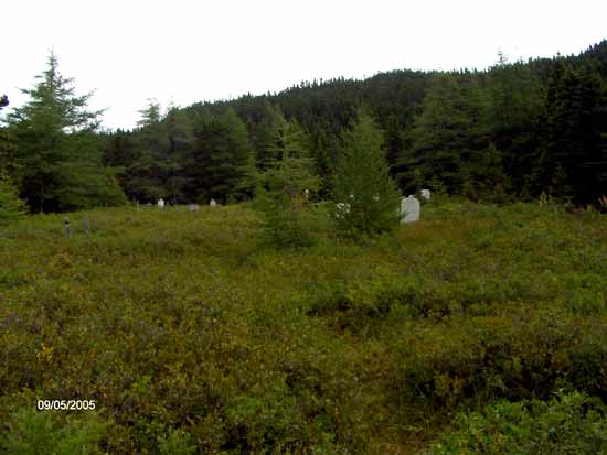 View of Cemetery