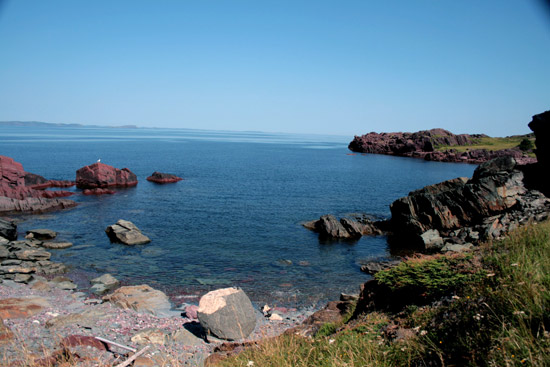 View of Tickle Cove