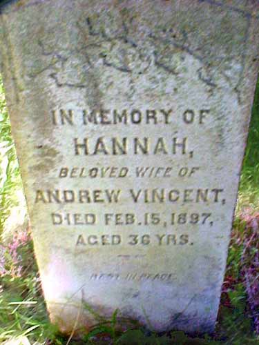 Hannah Vincent